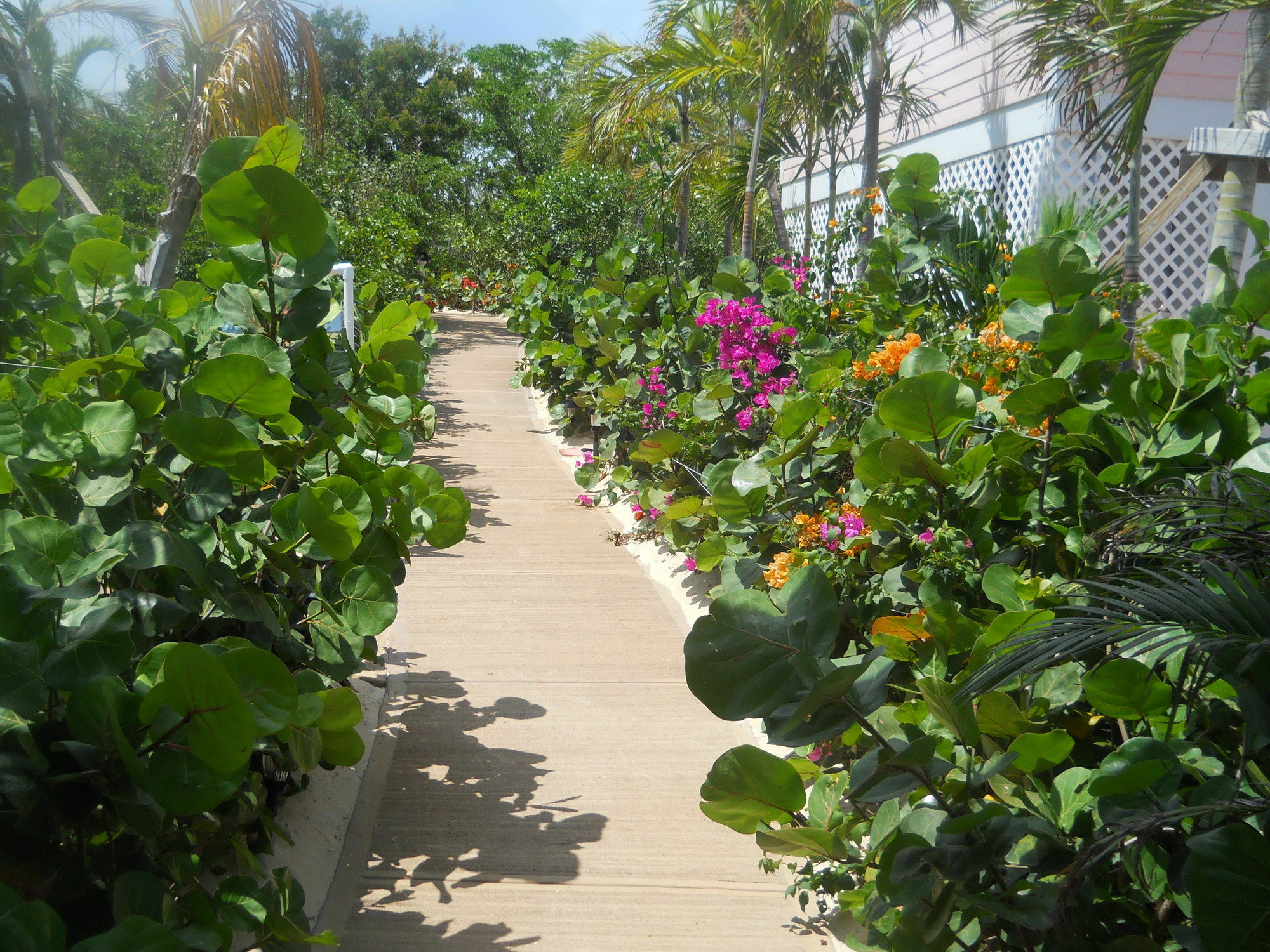 Harbor Breeze Villas Clarence Town Exteriér fotografie