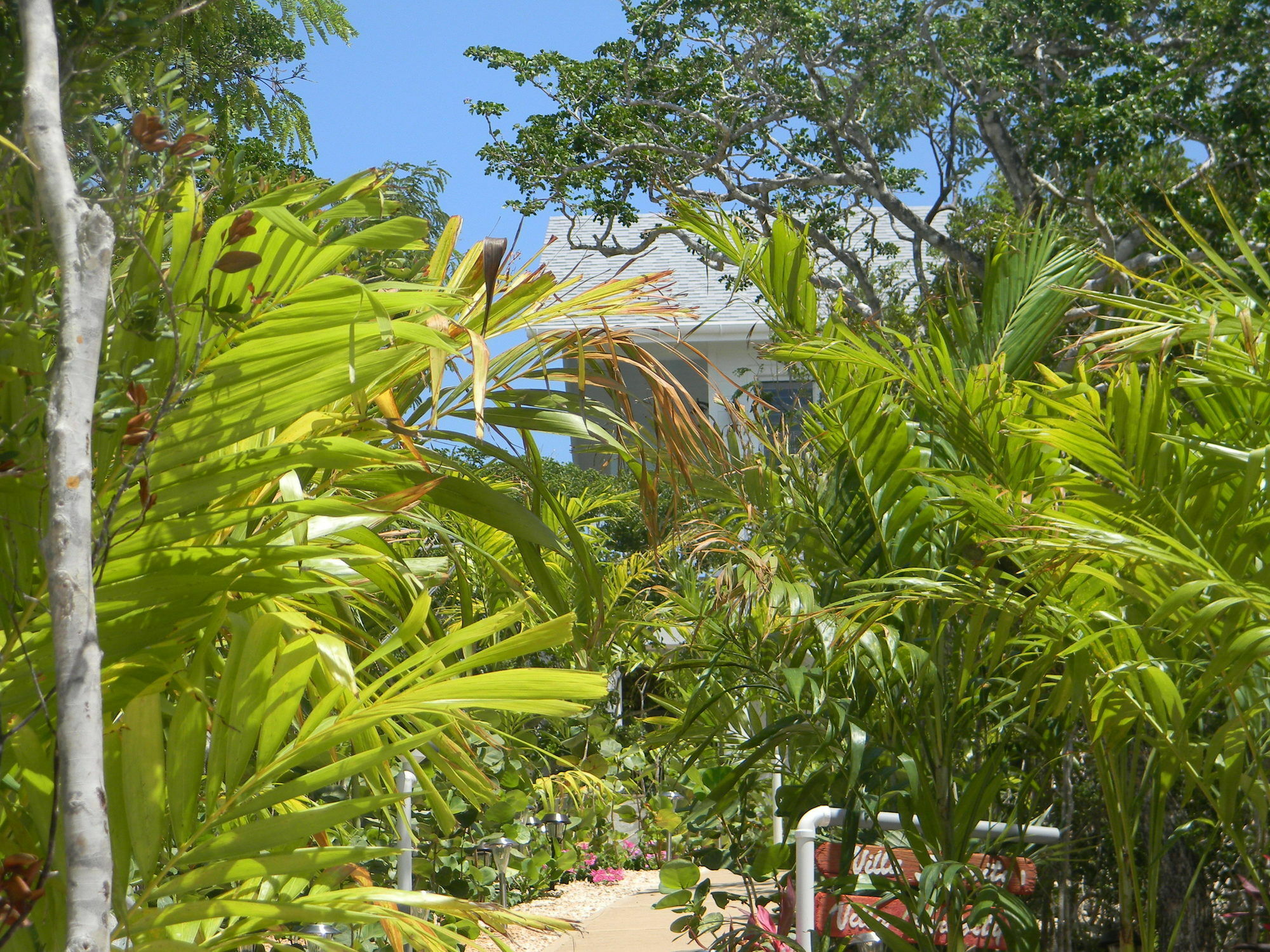 Harbor Breeze Villas Clarence Town Exteriér fotografie